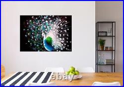 White peacock painting-Abstract Bird Painting-Original Oil painting