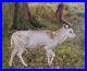 White_stag_oil_painting_on_canvas_art_10_x_8_inch_varnished_original_unframed_01_jh