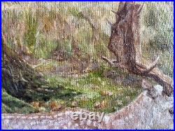 White stag oil painting on canvas art 10 x 8 inch varnished original unframed