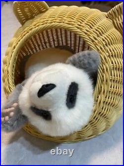Wool Panda Handmade Artist Bear. Charlie Bears Steiff Collectable