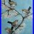 Wren_Birds_Oil_Painting_Vivek_Mandalia_Impressionism_18x24_Collectible_Original_01_arr